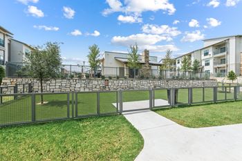 Dog park